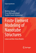 Finite Element Modeling of Nanotube Structures: Linear and Non-Linear Models