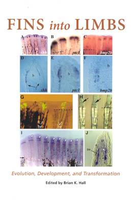 Fins Into Limbs: Evolution, Development, and Transformation - Hall, Brian K (Editor)