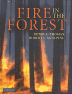 Fire in the Forest