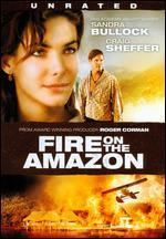 Fire on the Amazon