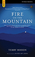Fire on the Mountain