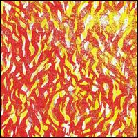Fire - The Bug