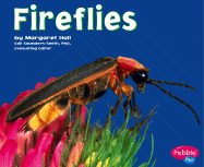 Fireflies