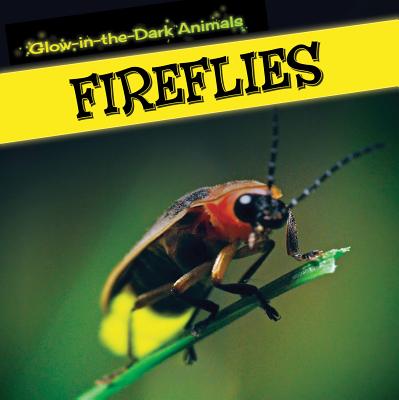 Fireflies - Howell, Sara