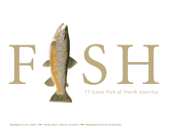 Fish: 77 Great Fish of North America