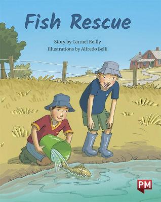 Fish Rescue! - Reilly, Carmel