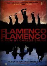 Flamenco, Flamenco