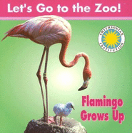 Flamingo Grows Up
