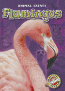 Flamingos