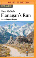 Flanagan's Run