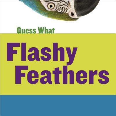 Flashy Feathers: Macaw - Calhoun, Kelly, and Cap, Timothy (Narrator)
