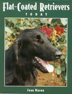Flat-Coated Retrievers Today