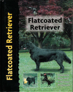 Flatcoated retriever