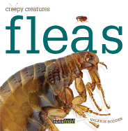 Fleas