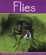 Flies