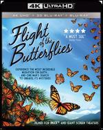 Flight of the Butterflies