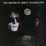 Floodland
