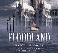 Floodland