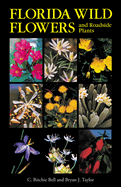 Florida wild flowers and roadside plants