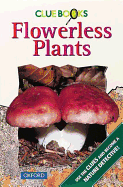 Flowerless Plants