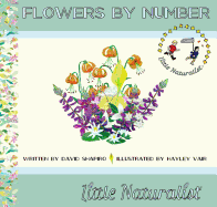 Flowers by Number