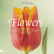 Flowers - Pepin Press