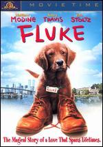 Fluke