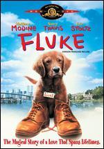 Fluke