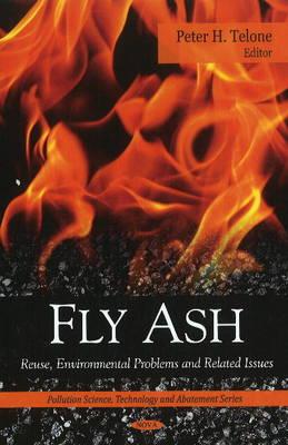 Fly Ash: Reuse, Environmental Problems & Related Issues - Telone, Peter H (Editor)