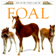 Foal - Ling, Mary (Editor)