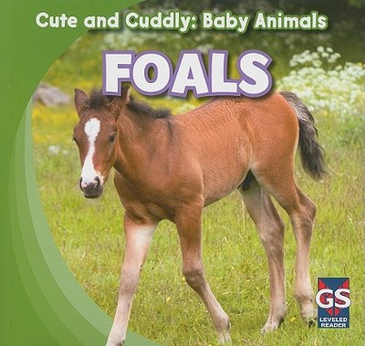 Foals - Elora, Grace