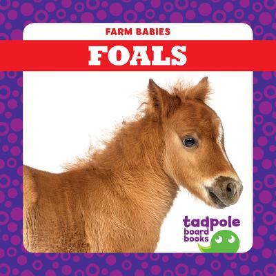 Foals - Mayerling, Tim