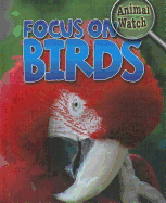 Focus on Birds
