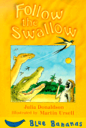 Follow the swallow
