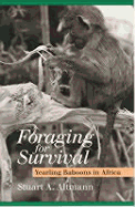 Foraging for Survival: Yearling Baboons in Africa