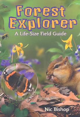 Forest Explorer: A Life-Sized Field Guide - Bishop, Nic