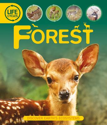 Forest Life Cycles - Callery, Sean