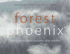 Forest Phoenix: How a Great Forest Recovers After Wildfire