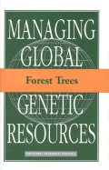 Forest trees