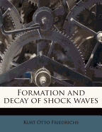 Formation and Decay of Shock Waves