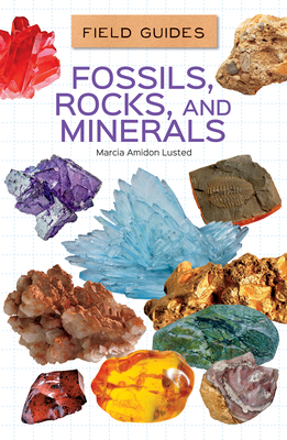 Fossils, Rocks, and Minerals - Lusted, Marcia Amidon