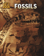 Fossils