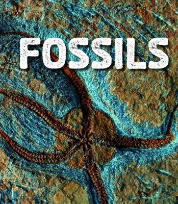 Fossils - Sawyer, Ava