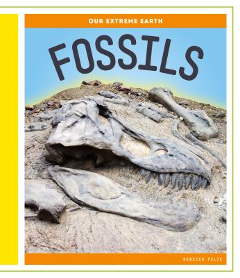 Fossils - Felix, Rebecca