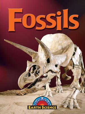 Fossils - Lappi, Megan