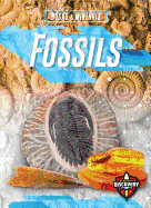 Fossils