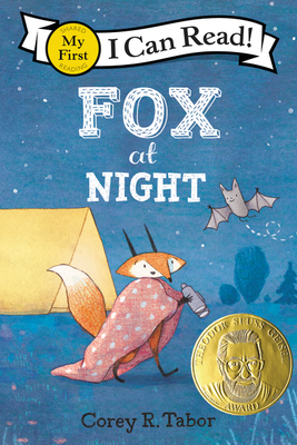 Fox at Night - 