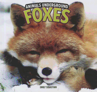 Foxes