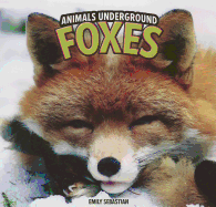 Foxes