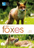 Foxes